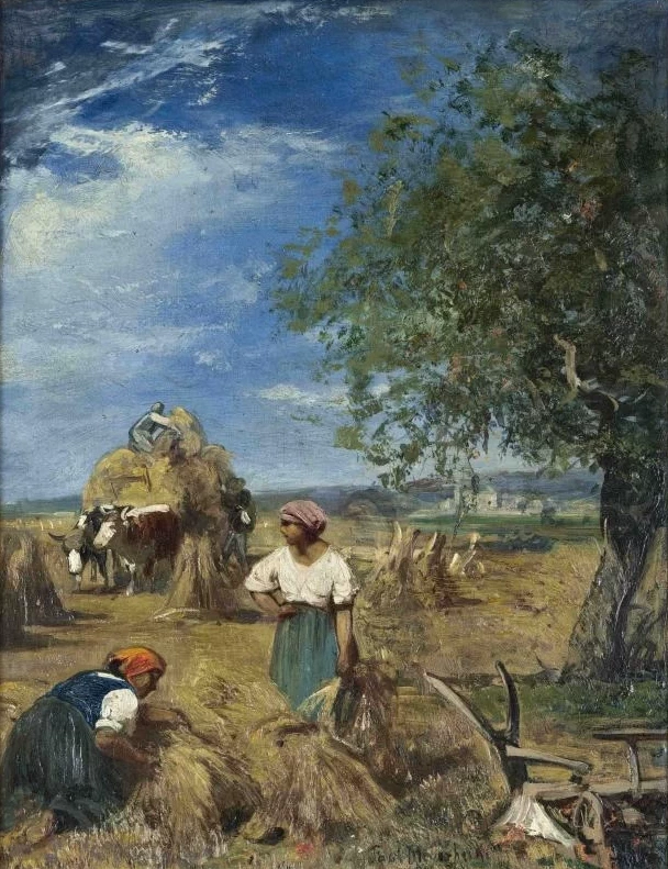 Alla Vendemmia